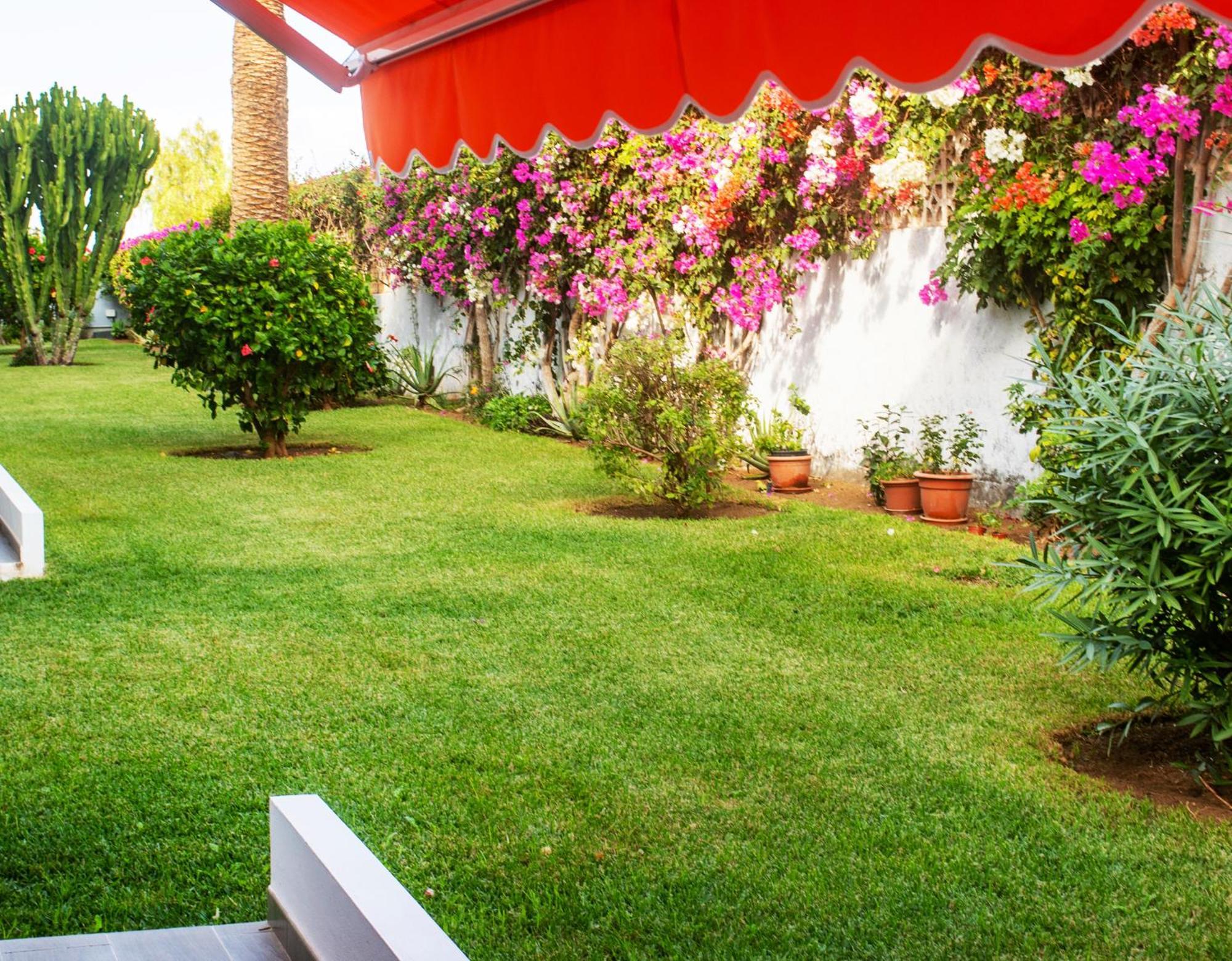 Casa Tranquila Apartment Puerto de la Cruz  Luaran gambar